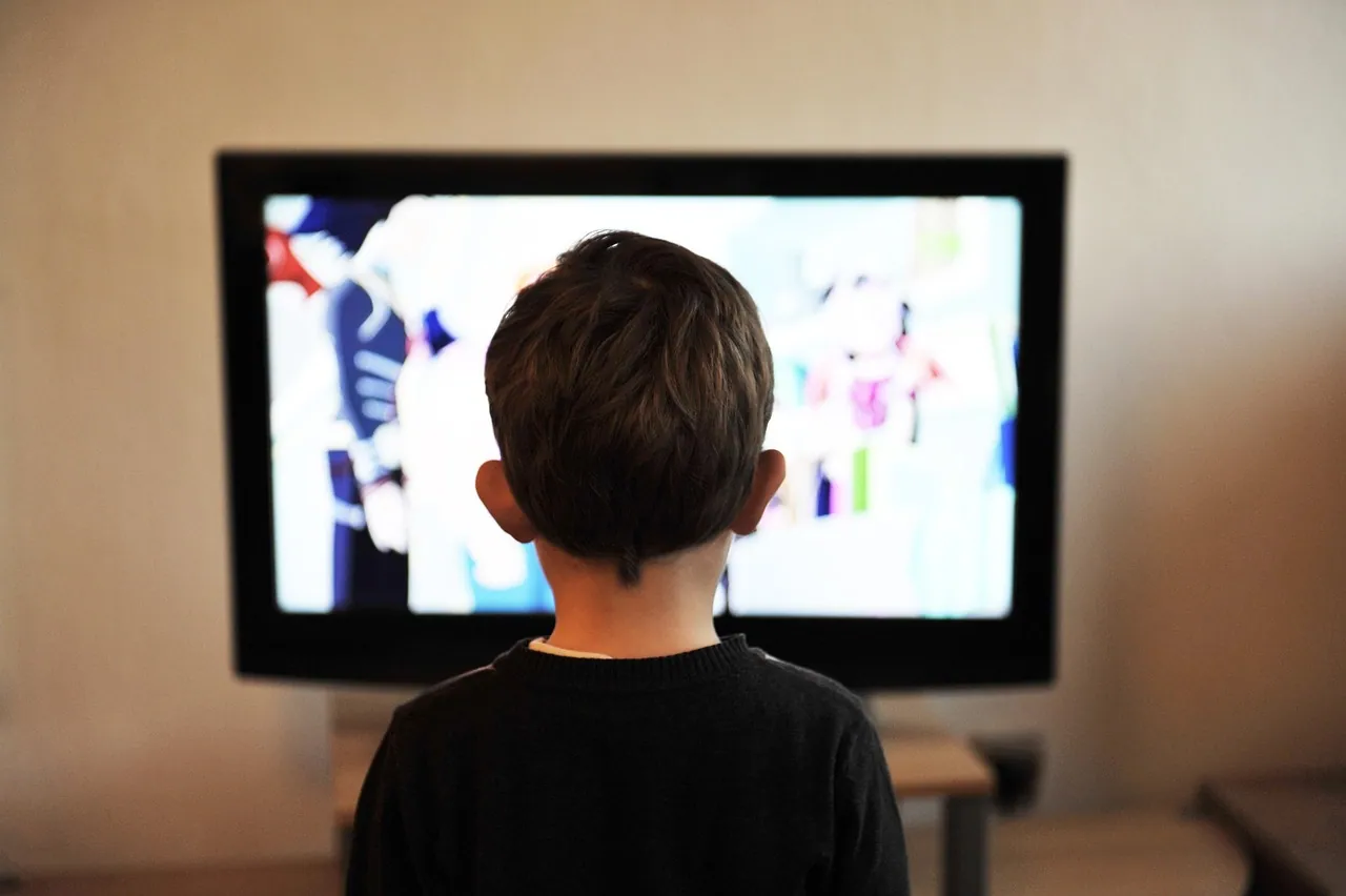 가족이 함께 쓰는 거실 TV