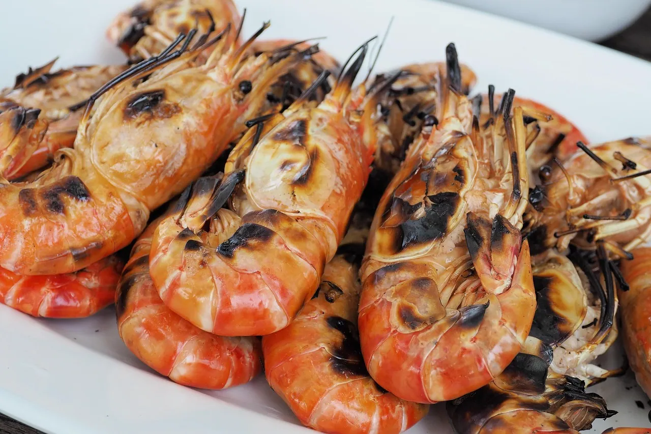 야외 캠핑 식사 준비